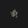 Baggi Helm S