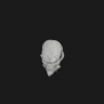 Skull Visage