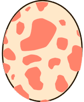 Kulu-Ya-Ku Egg