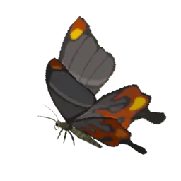 Mariposa chimenea
