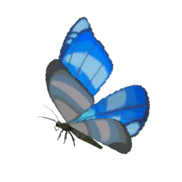 Морозная бабочка