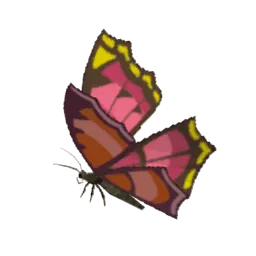 Papillon piment