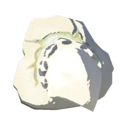 Фрагмент зуба Белого дракона