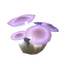光亮蘑菇