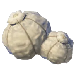Grosse truffe max