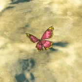 Summerwing Butterfly